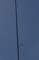 IMGP1838