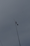IMGP2603